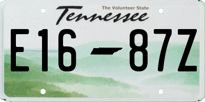 TN license plate E1687Z