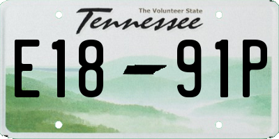 TN license plate E1891P