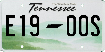 TN license plate E1900S