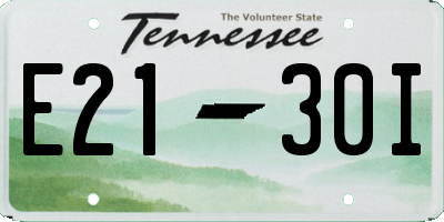 TN license plate E2130I