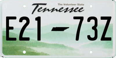 TN license plate E2173Z