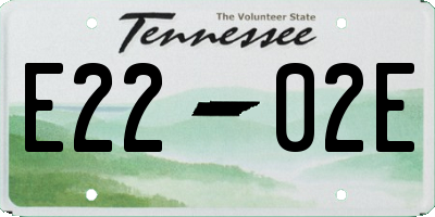 TN license plate E2202E