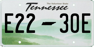 TN license plate E2230E