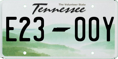 TN license plate E2300Y