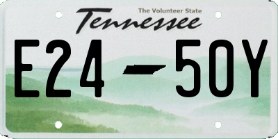 TN license plate E2450Y