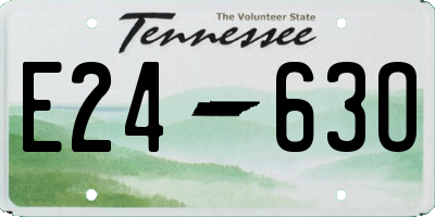 TN license plate E2463O