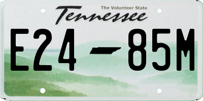 TN license plate E2485M
