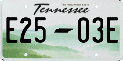 TN license plate E2503E