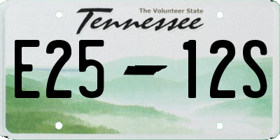 TN license plate E2512S