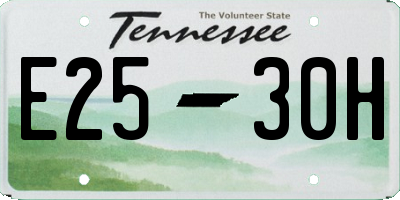 TN license plate E2530H