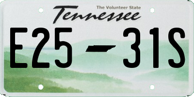 TN license plate E2531S