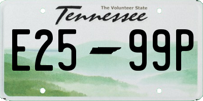 TN license plate E2599P