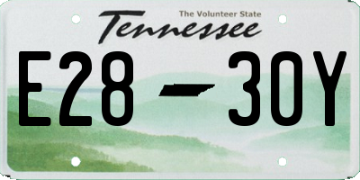 TN license plate E2830Y
