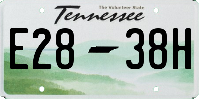 TN license plate E2838H