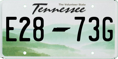 TN license plate E2873G