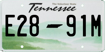 TN license plate E2891M