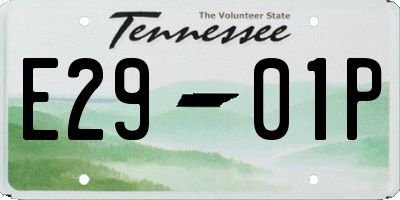 TN license plate E2901P
