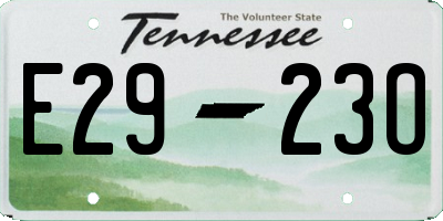 TN license plate E2923O