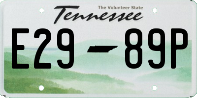 TN license plate E2989P