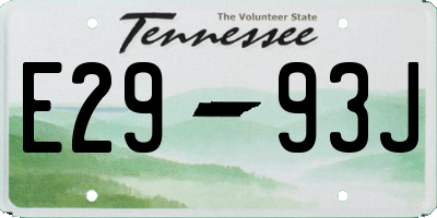 TN license plate E2993J