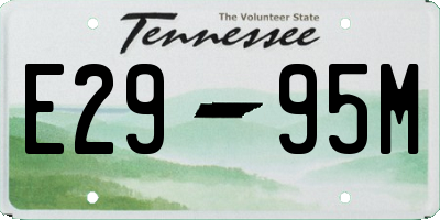 TN license plate E2995M