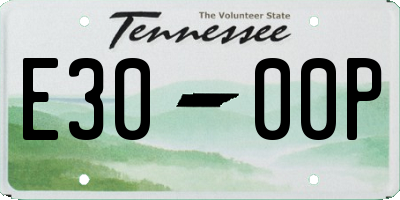 TN license plate E3000P