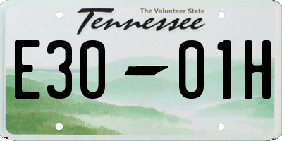 TN license plate E3001H