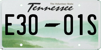 TN license plate E3001S