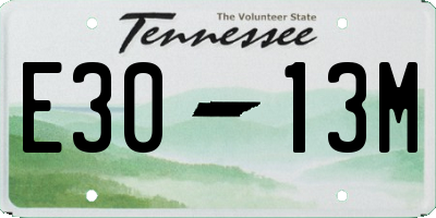 TN license plate E3013M