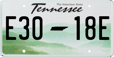 TN license plate E3018E