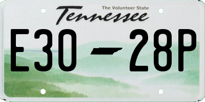 TN license plate E3028P