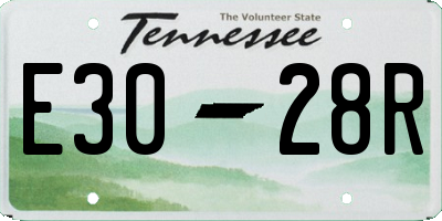 TN license plate E3028R