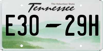 TN license plate E3029H