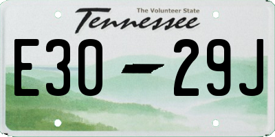 TN license plate E3029J