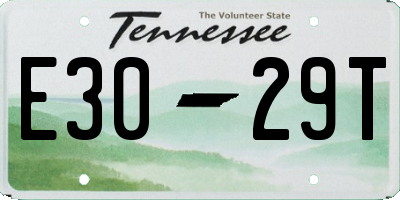 TN license plate E3029T