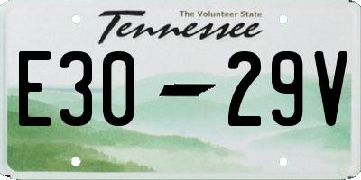 TN license plate E3029V