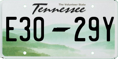 TN license plate E3029Y