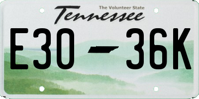 TN license plate E3036K