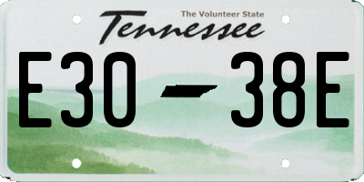 TN license plate E3038E