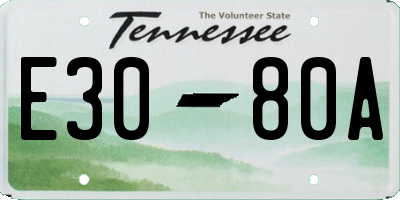 TN license plate E3080A