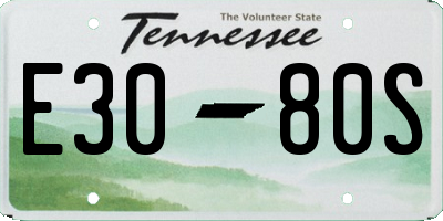 TN license plate E3080S
