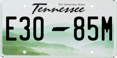 TN license plate E3085M