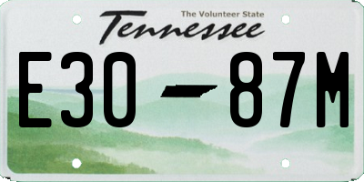 TN license plate E3087M