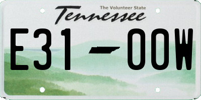 TN license plate E3100W