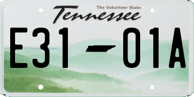 TN license plate E3101A
