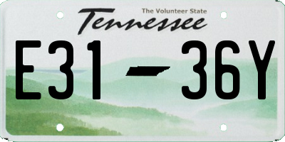 TN license plate E3136Y