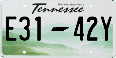 TN license plate E3142Y