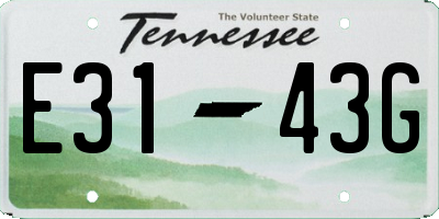 TN license plate E3143G