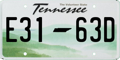 TN license plate E3163D
