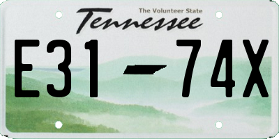 TN license plate E3174X